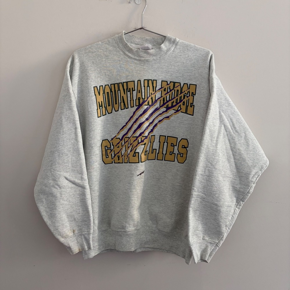 Vintage Fruit of the Loom Mountain Ridge Grizzlies Sweatshirt Large Grey USA